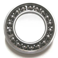 Black-bearing MAX 6000-2RS Frame Bearing